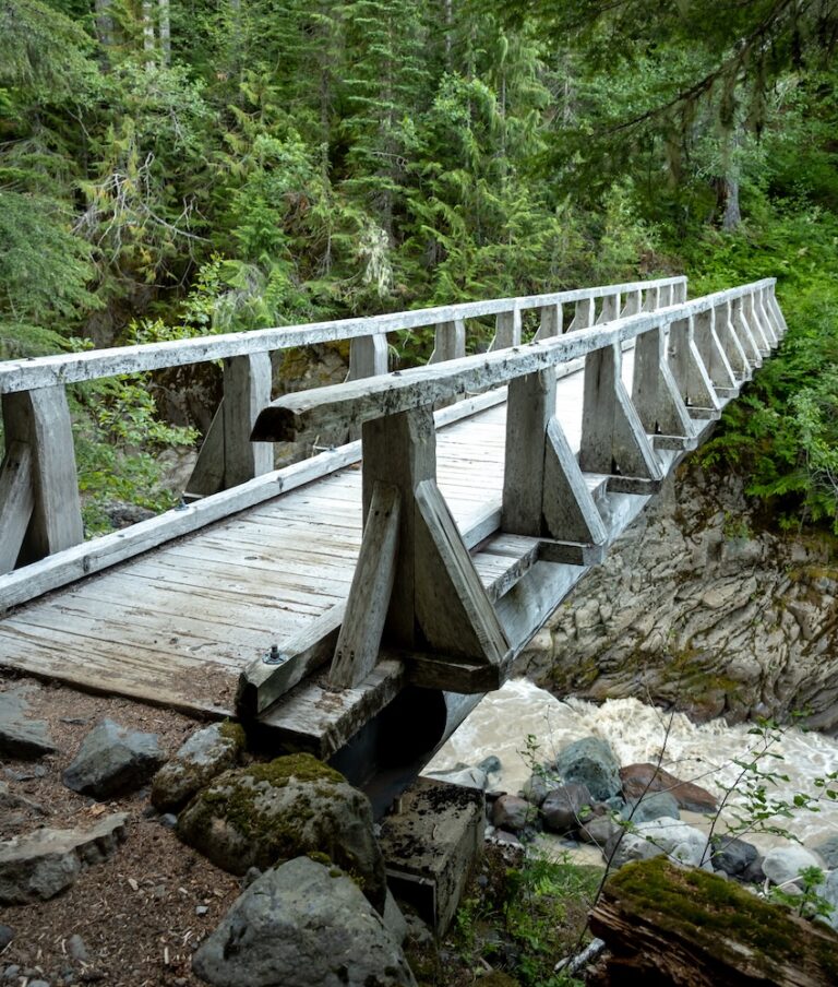 A wooden footbridge spans a rocky ravine with a fast-flowing river below, surrounded by dense evergreen forest.